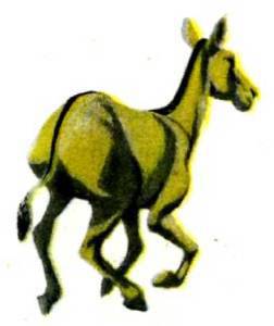 Мир животных Том 1 - i_259.jpg