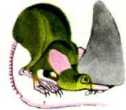 Мир животных Том 1 - i_271.jpg