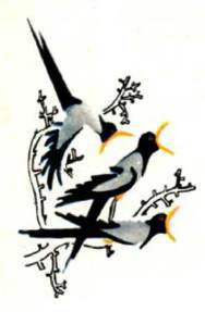 Мир животных Том 1 - i_290.jpg