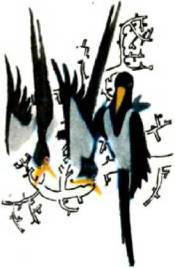 Мир животных Том 1 - i_292.jpg