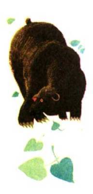 Мир животных Том 1 - i_293.jpg