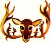 Мир животных Том 1 - i_342.jpg