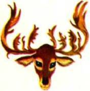 Мир животных Том 1 - i_343.jpg