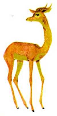 Мир животных Том 1 - i_376.jpg