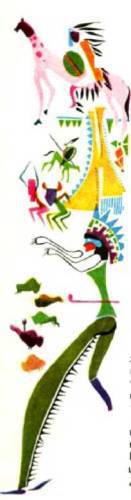 Мир животных Том 1 - i_377.jpg