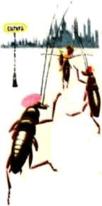 Насекомые. Пауки - i_053.jpg