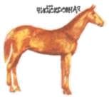 Мир животных. Домашние животные - i_136.jpg