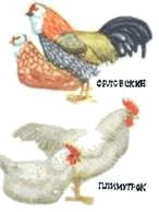 Мир животных. Домашние животные - i_217.jpg