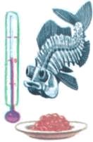 Мир животных. Домашние животные - i_240.jpg