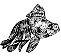 Мир животных. Домашние животные - i_241.png