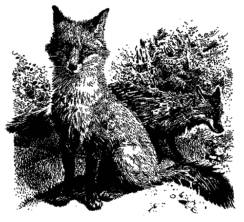 Лунный зверь - i_005.png