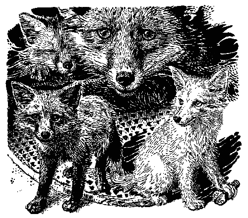 Лунный зверь - i_007.png