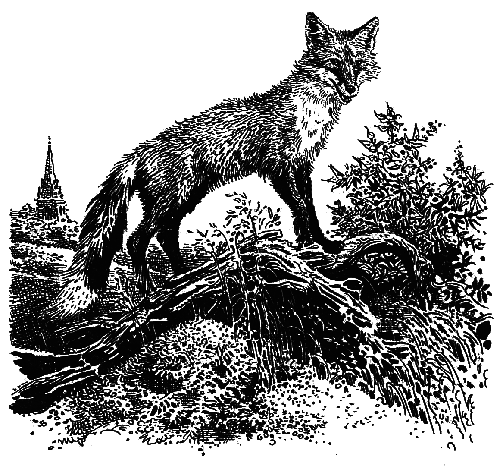 Лунный зверь - i_008.png