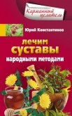 Лечим суставы народными методами - Константинов Юрий Михайлович