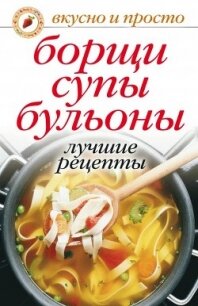 Лечебные настойки, отвары, бальзамы, мази. Лучшие рецепты - Николаева Юлия Николаевна