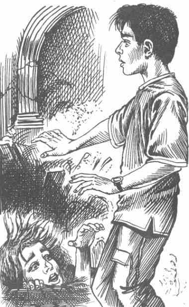 Месть безумного лорда - i_005.jpg