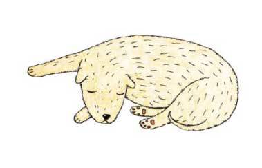 Щенок Засоня - i_012.jpg