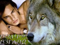 Волчий взгляд (СИ) - Рожнова Мария Сергеевна