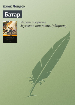 Серия книг Мужская верность