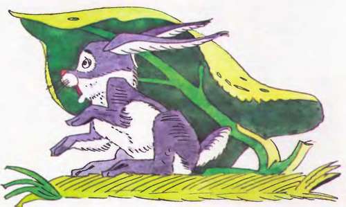 Как цыпленок голос искал - _52.jpg