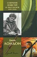 Серия книг Черепахи Тасмана