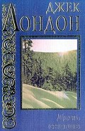 Серия книг Потерявший лицо