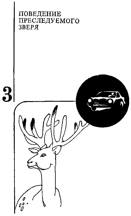 Повадки диких зверей - i_004.png