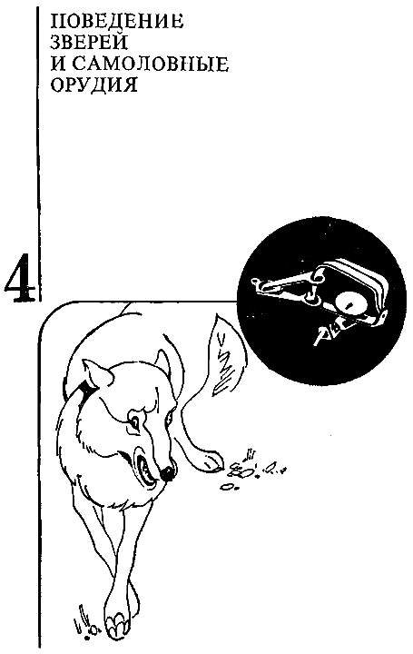 Повадки диких зверей - i_005.png