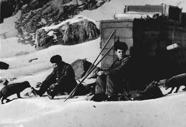 Повадки диких зверей - i_011.jpg