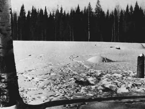 Повадки диких зверей - i_017.jpg