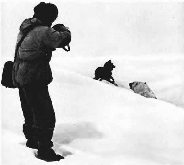 Повадки диких зверей - i_020.jpg