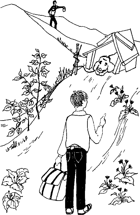 Автостоп - img_08.png