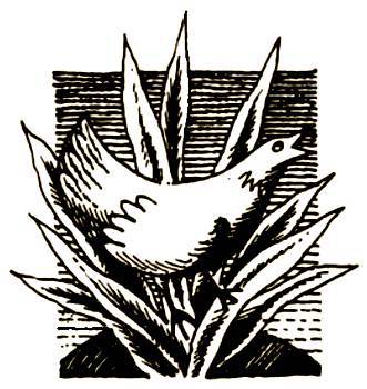 Нечистая сила - _4.jpg