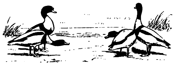 Агрессия - _1.png