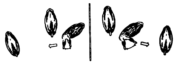 Агрессия - _2.png