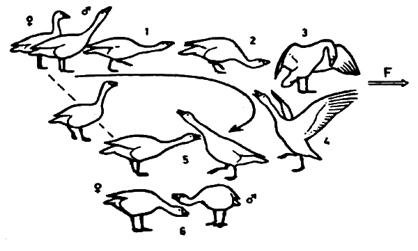 Агрессия - _3.png