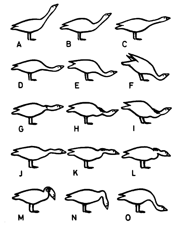 Агрессия - _5.png