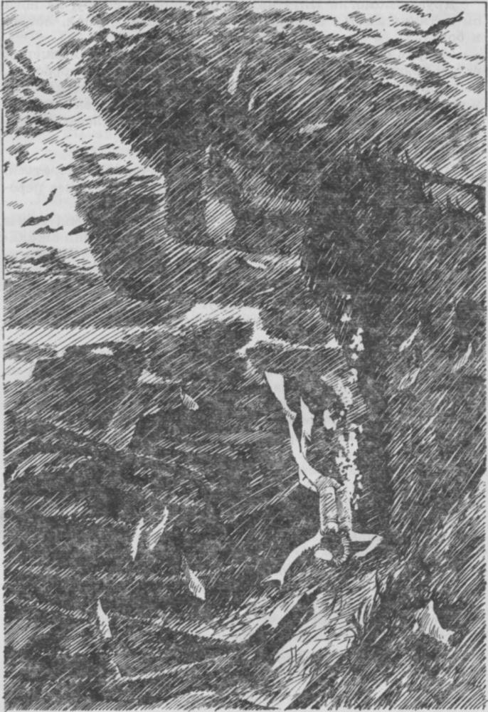 Тайна Корабельного кладбища - img_12.jpeg