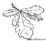 Дмитрий Донской - img25.jpg