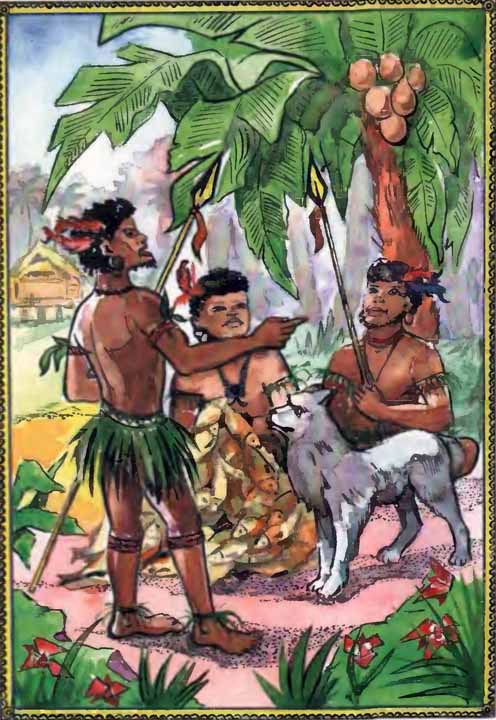 Сказки народов Австралии, Океании и Индонезии - i_016.jpg