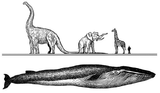 Физика на каждом шагу - i_048.jpg
