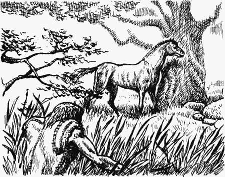 Двенадцать тысяч лет назад - i_029.png