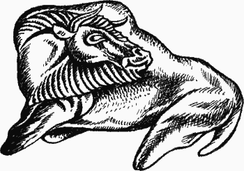 Двенадцать тысяч лет назад - i_030.png