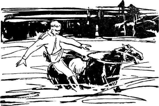 Сокровища ангуонов - img_9.jpeg