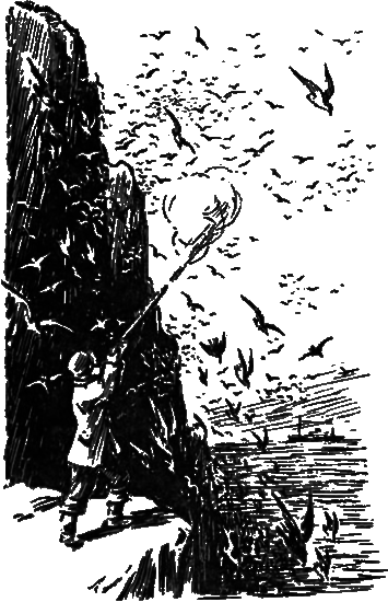 Пассажир дальнего плавания - i_009.png