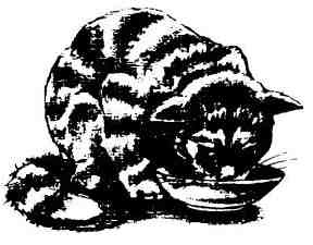 Кошачья Леди - i_013.jpg