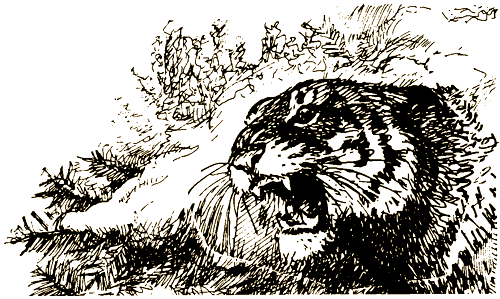 Тигр, олень, женьшень - i_016.png