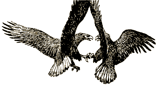 Тигр, олень, женьшень - i_017.png