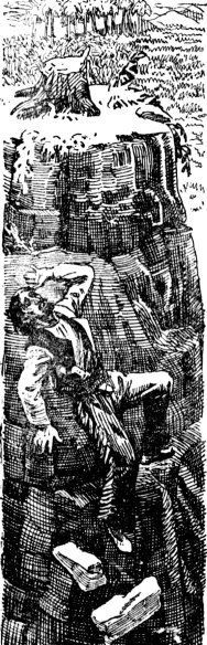 Затерянный мир (сборник) - i_010.jpg