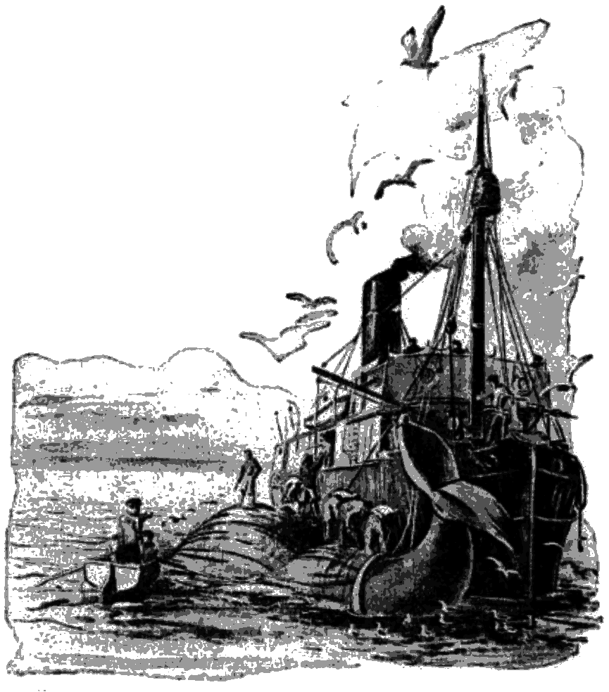 Мои приключения в полярных морях - i_003.png